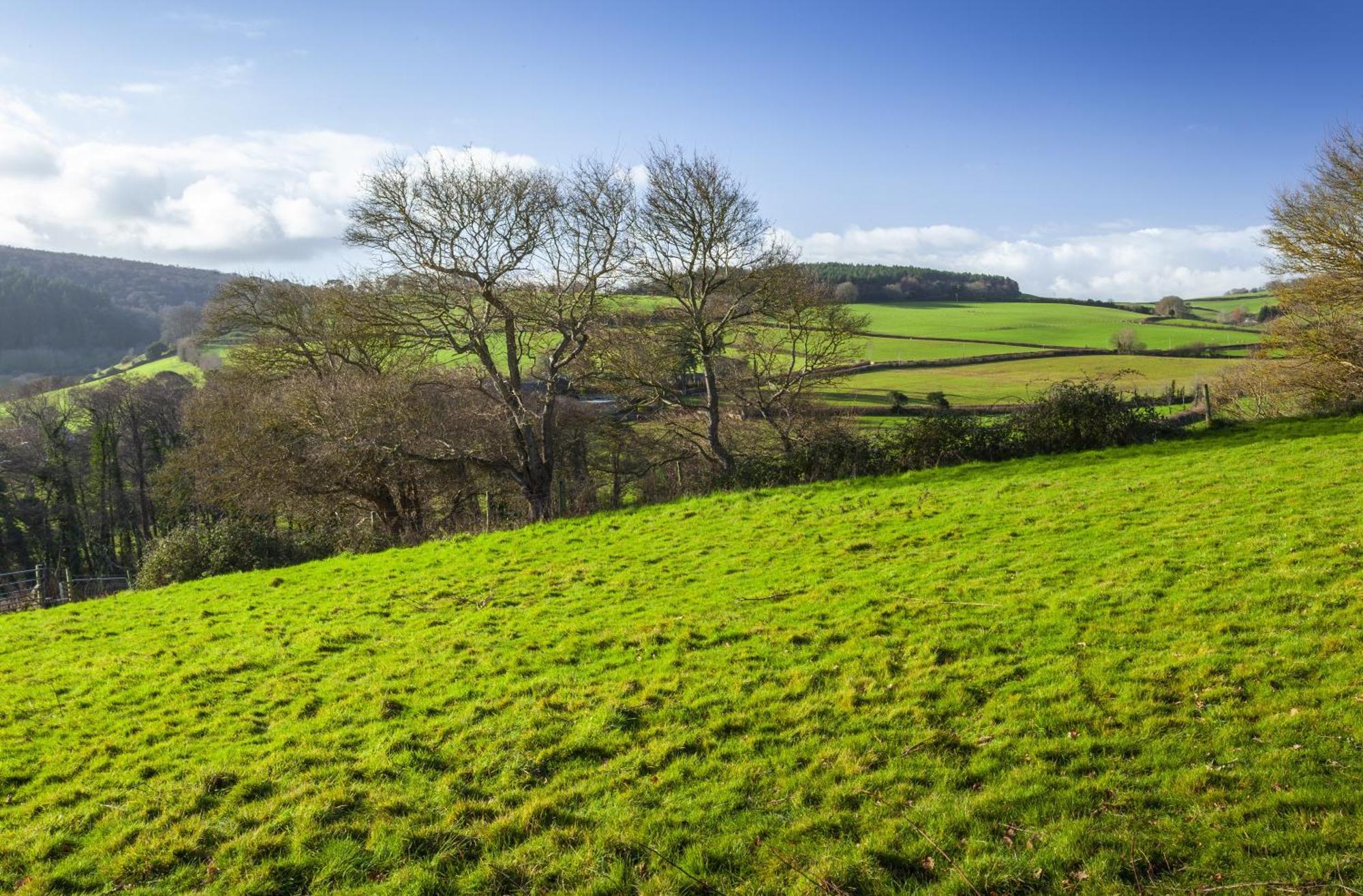 The Garden Studio Woodcombe 曼海德 外观 照片